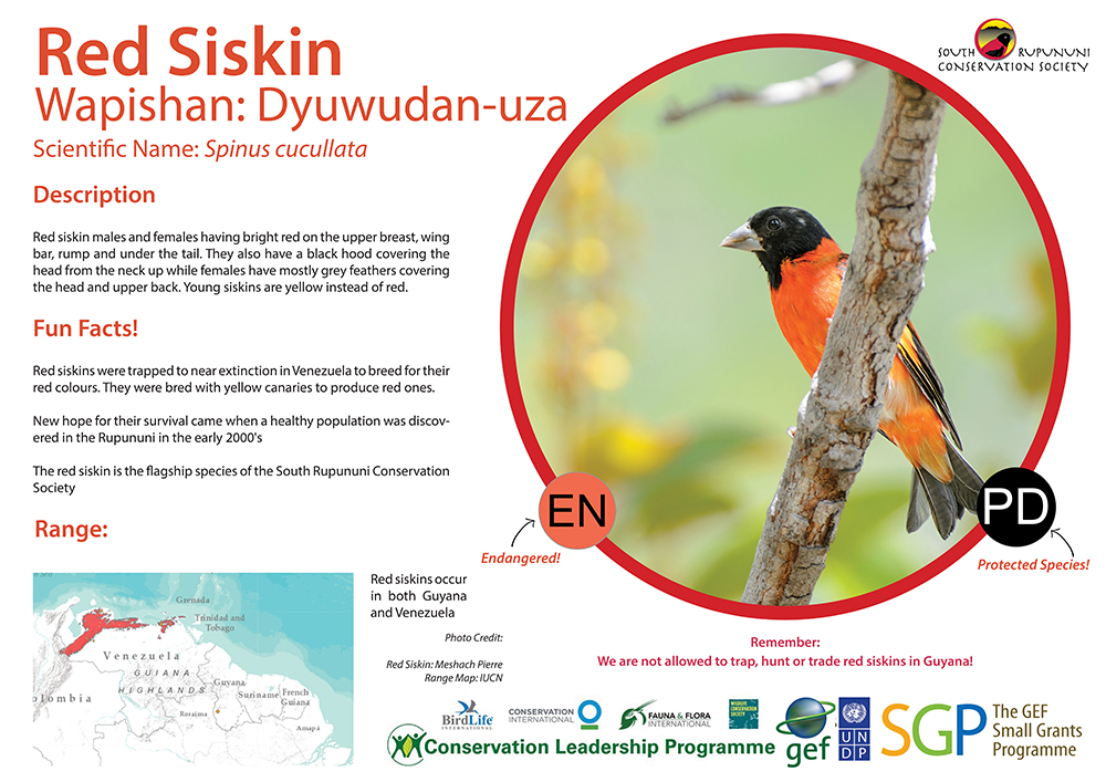 SRCS Red Siskin Poster (Design & text by MPierre)
